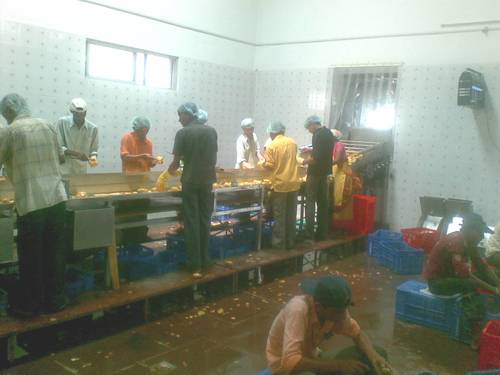 Mango Pulp Processing Plant Capacity: 500 Kg/Hour To 10000 Kg/Hour Kg/Hr