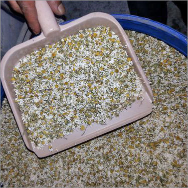 Dried Chamomile Flower