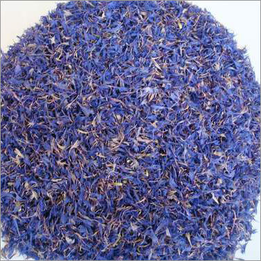 Blue Cornflower Petals