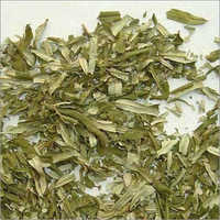 New Sea Buckthorn Leaves Dry Place