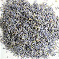 Dried Lavender Flower