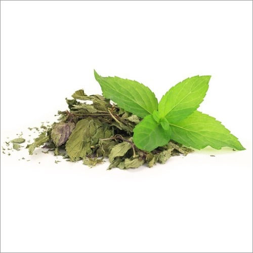 Herb Dried Leaves