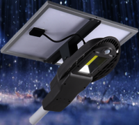 9~40 Watts Dusk To Dawn Solar Street Lights For Remote Location