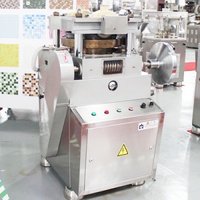 ZPW-19B Tablet Press Machine