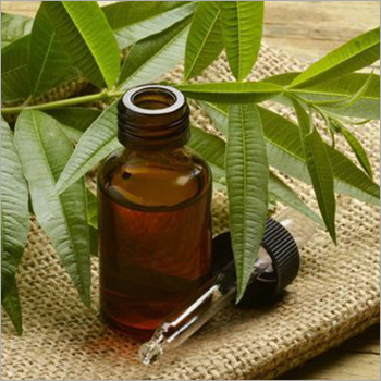 Tea Tree Oil Age Group: Old Age