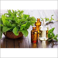 Peppermint Oil - Liquid Foam Bottle | 100% Pure, Ideal for Adults and Old Age, Store in Dry Place