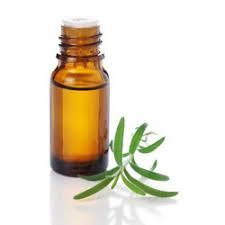 Eucalyptus Oil