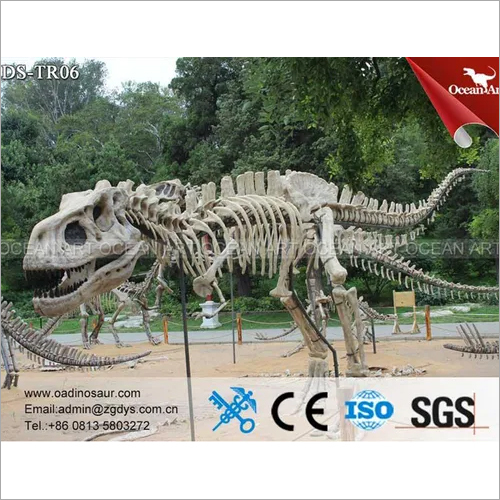 Dinosaur Skeleton By GLOBALTRADE