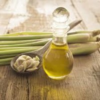 Lemon Grass oil