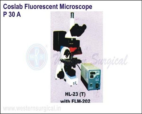 Flm - 202