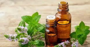 Peppermint oil