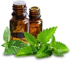 Spearmint Oil Purity: 100% Pure And Natural