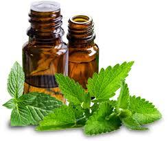 Spearmint oil