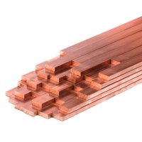 Tinned Copper Busbar with Insulating Sleeve