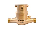 DOMESTIC WATER METER