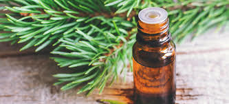 fir needle oil