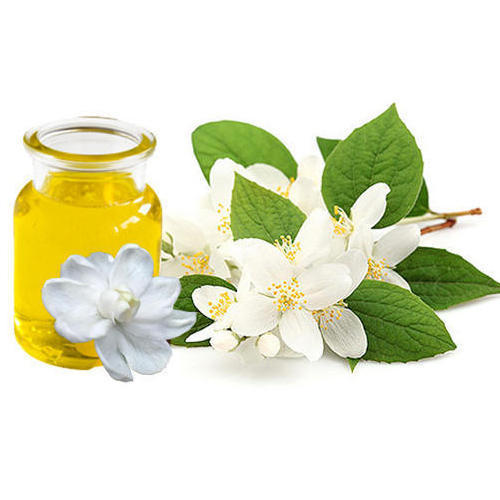 jasmine sambac oil