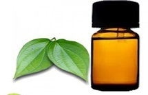 ho leaf oil