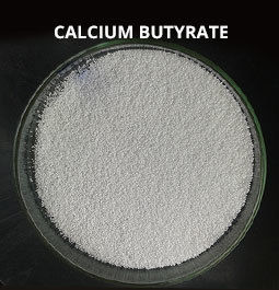 Calcium Butyrate