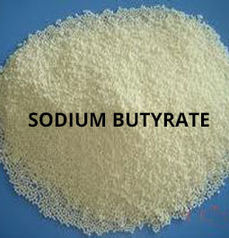 Sodium Butyrate By KAVYA PHARMA