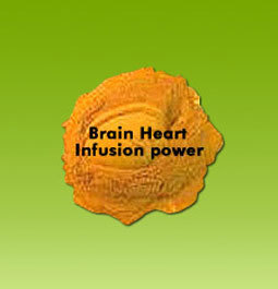 Brain Heart Infusion Powder