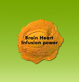 Brain Heart Infusion Powder - Nitrogen 13.0%, Amino Nitrogen 3.6% | Free Flowing Powder, Dissolves in Distilled Water, Crystal Clear Solution