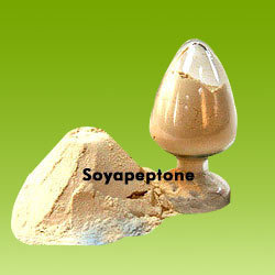 Soya Peptone Powder