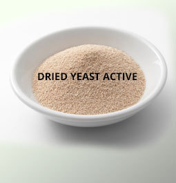 Dried Yeast Active