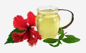Hibiscus oil