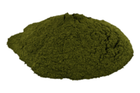 Dried Ziziphus Spina-Christi Leaves Powder