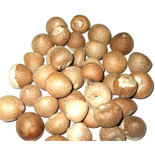 Assam Areca Nut By SUVO COAL TRADERS