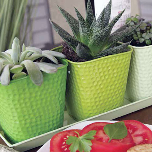 Polished Designer Planter Set