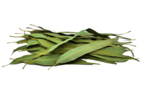 Dried Eucalyptus Leaves - 100% Dried Eucalyptus Leaf, Eucalyptus Globulus | Suitable For All Age Groups, Store In A Dry Place, Dried Herbs