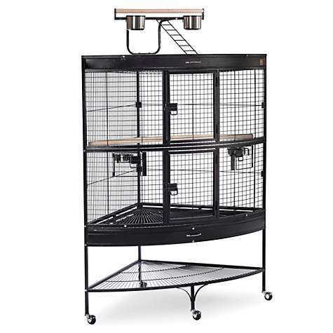 Powder Coated Iron Bird Cage