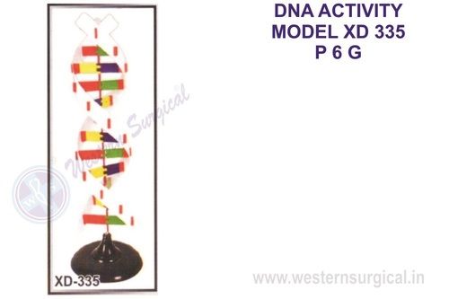 DNA Model