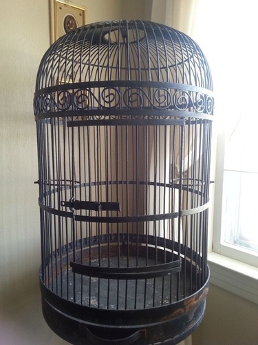 Wrought Iron Bird Cage- Metal