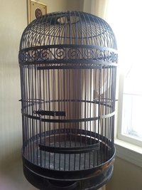 Wrought Iron Bird Cage - Metal, Black Enamel Finish | Modern Arts Style, American Design, Casting Technique