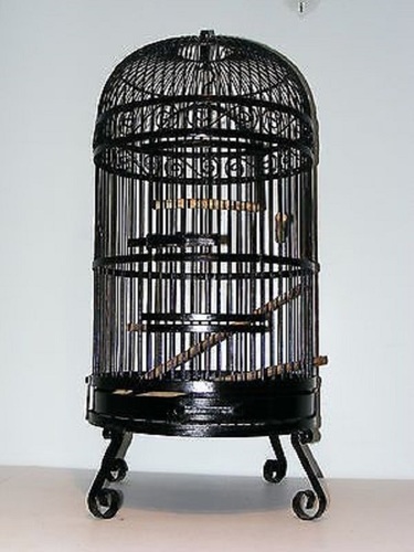 New Design Dometop Black Bird Cage