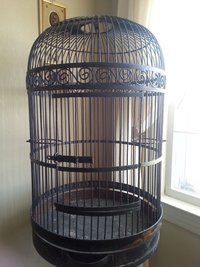 Large Wrought Iron Bird Cage Open Play Top