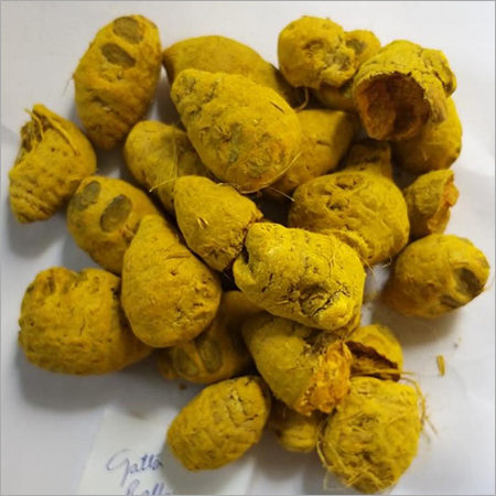 Easy Usable Turmeric Gatta Balb