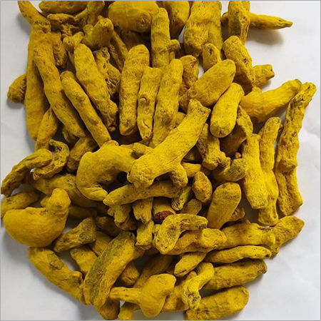 FAQ Grade Turmeric Finger