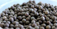 Ruthenium 0.5% on Alumina