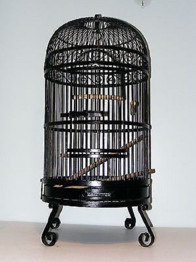 Iron Bird Cages
