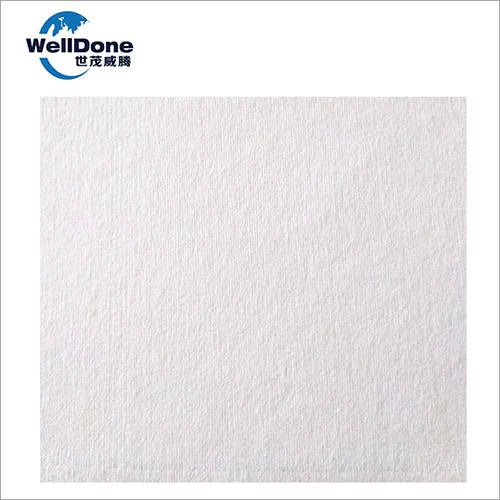 PET Plain Viscose Spunlace Non Woven Fabric for Wet Wipe By WELLDONE (CHINA) INDUSTRY LIMITED