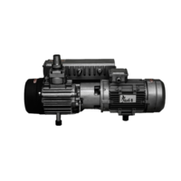 Rotary Vacuum Pump Application: Submersible