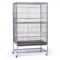New Large Play Dome Top Wrought Iron Bird Cage