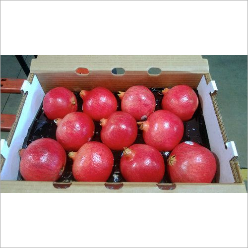 Common Red Pomegranate