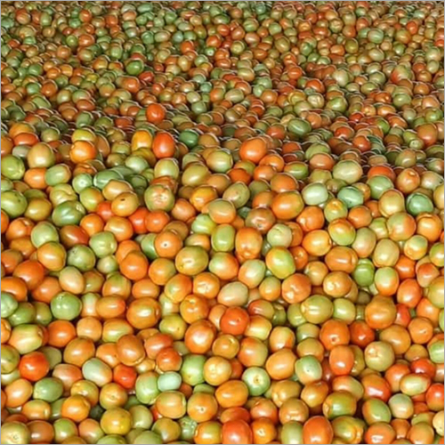 Fresh Tomato
