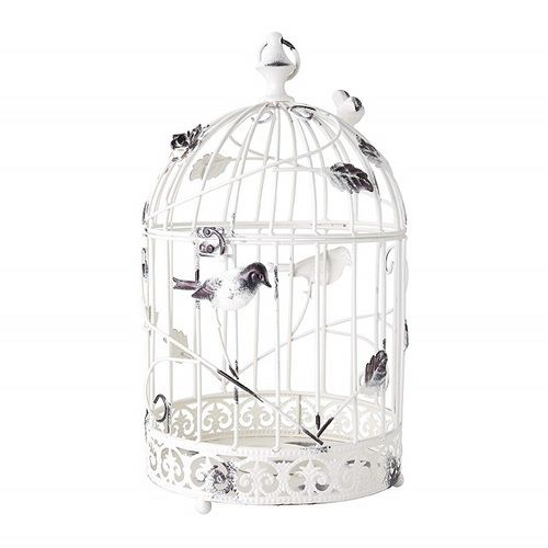 Metal Bird Cage