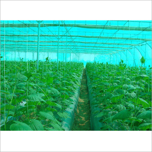 Green Greenhouse Shade Net